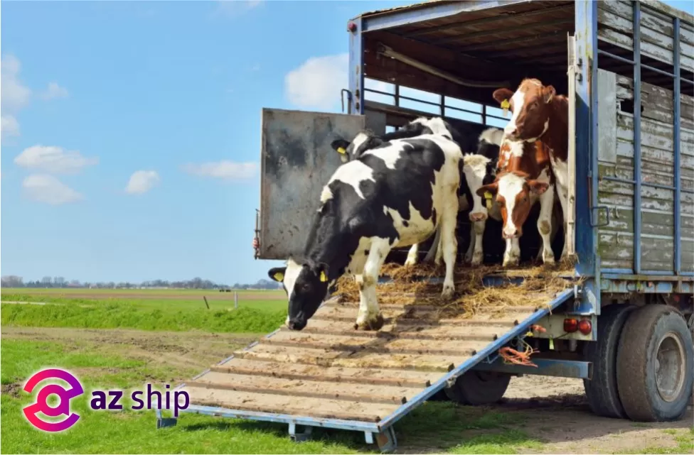 Transporte de carga viva